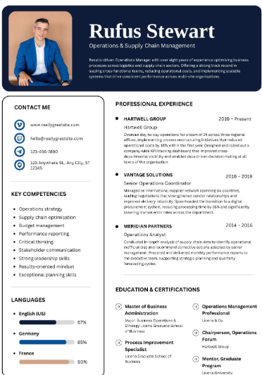 Professional CV Sample 65